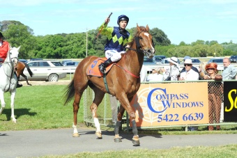 Who's Ya Daddy 2008 Kyneton Cup Winner